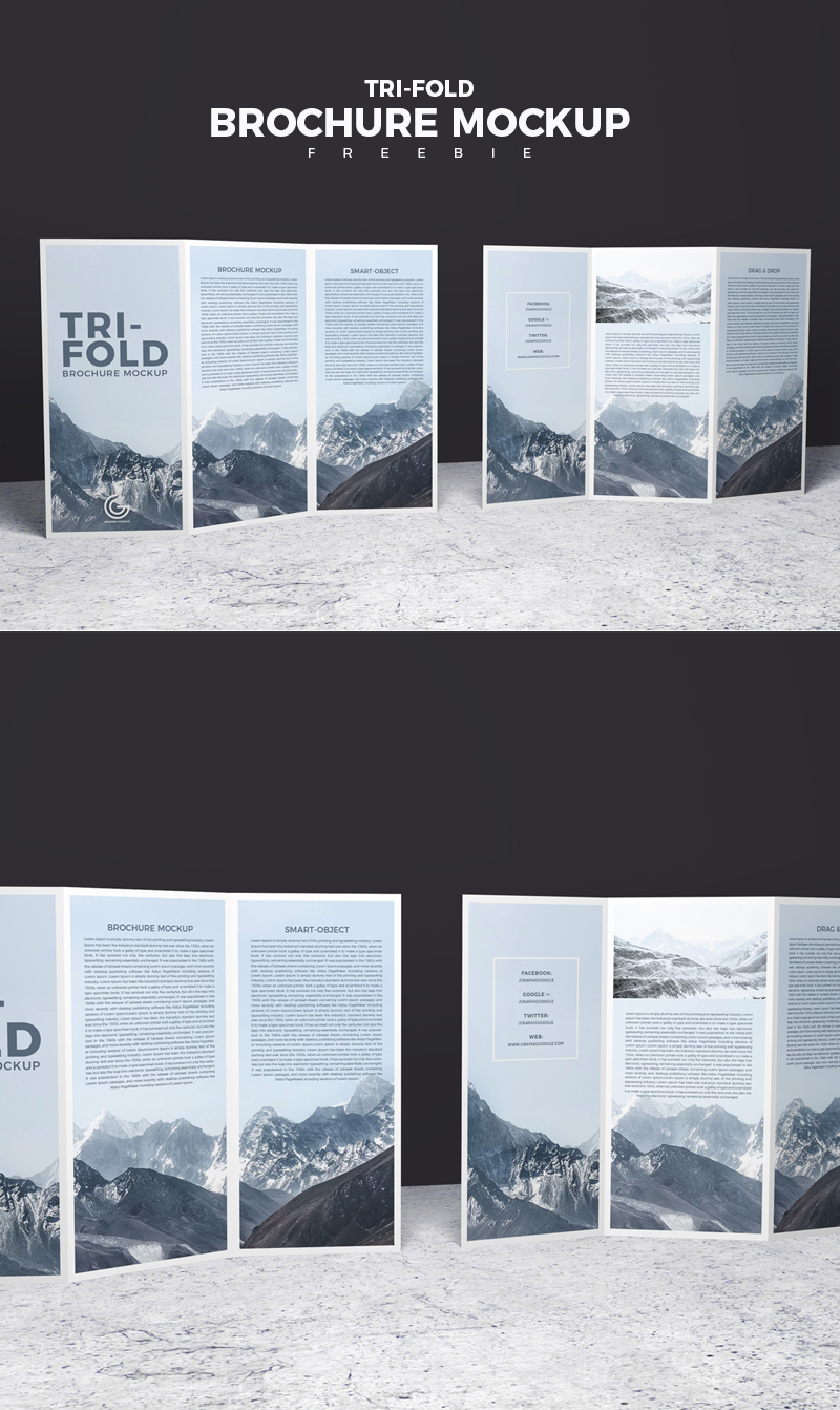 Free-Front-&-Back-Tri-Fold-Brochure-Mockup-PSD-2018-600