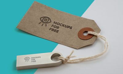 Free-Label-&-USB-Logo-Branding-Mockup-2018-700