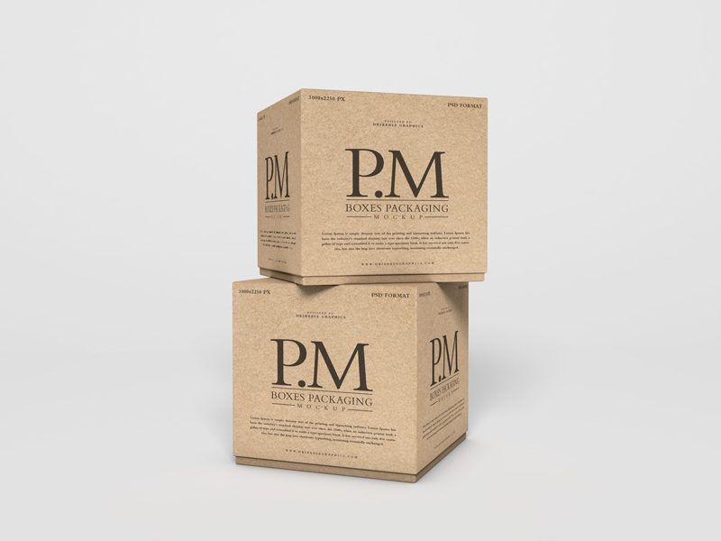 Free-Branding-Stylish-Boxes-Packaging-Mockup-PSD-2019
