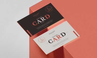 Free-Stylish-Branding-Business-Card-Mockup-Design