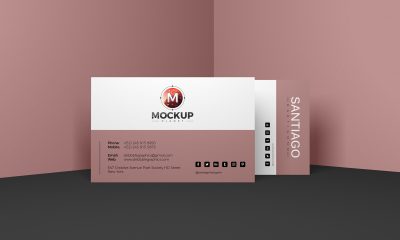 Free-Pro-Business-Card-Mockup-PSD-For-Presentation-2018