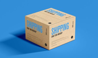 Free-Shipping-Craft-Box-Packaging-Mockup-Design
