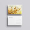 Free-Branding-PSD-Post-Card-Mockup-Design